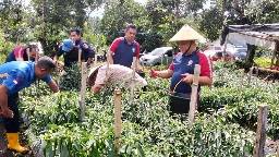 Kepala Zona Bakamla Tengah Pimpin Panen Perdana Cabai di Lahan Mako Baru