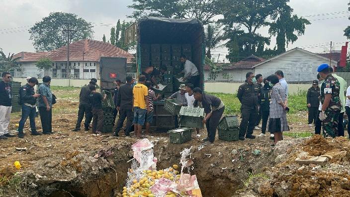 8 Ton Mangga Tanpa Dokumen Resmi Dimusnahkan, Polda  Sumut : Negara Hadir Melindungi Masyarakat