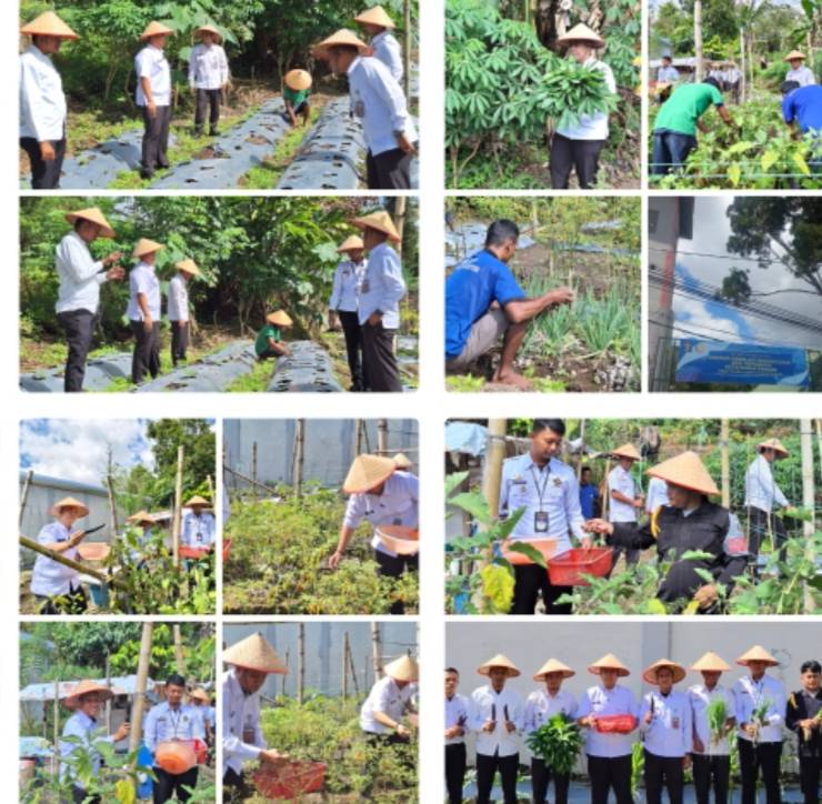 Bukti Nyata Dukung Program Ketahanan Pangan, Rutan Tarutung Kembali Panen Sayur