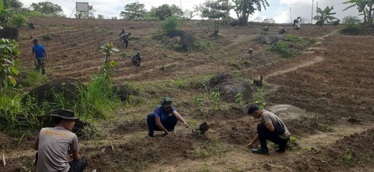 TMMD Ke-123 Kodim 0318/Natuna: Semangat TNI-Polri dan Masyarakat Wujudkan Ketahanan Pangan di Desa Selemam