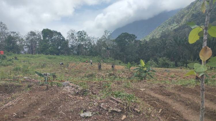 TMMD Ke-123 Tahun 2025: Wujud Nyata Ketahanan Pangan di Desa Selemam, Natuna