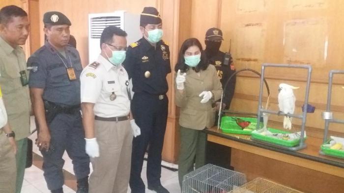 Bea dan Cukai Gagalkan Penyeludupan 28 Burung Langka