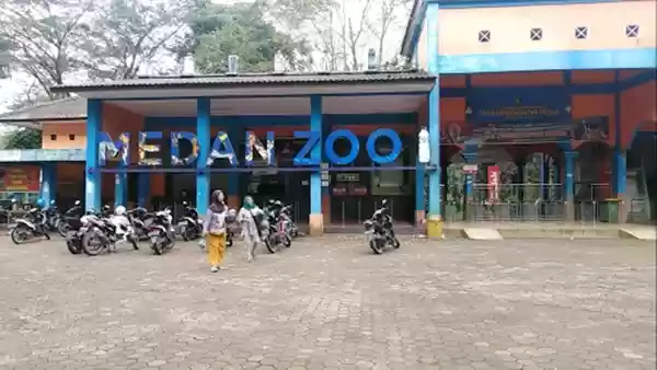 270 Satwa di Medan Zoo Terancam Kelaparan, Pihak Pengelola Buka Donasi