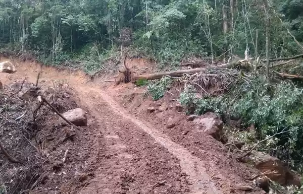 Tiga Tersangka Kasus Pembukaan Jalan di  Kawasan Hutan Negara Diserahkan ke Kejari Balige