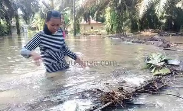 Sungai Silo Meluap Saat Sahur, 20 Rumah Warga Terendam Air 