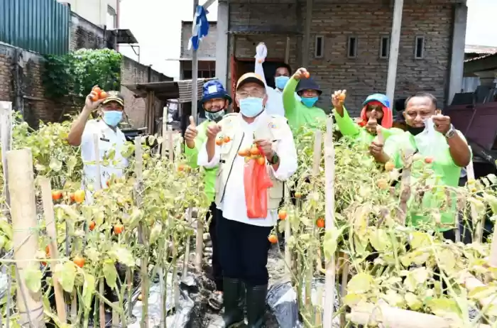 Panen Perdana Bawang Merah dan Pencanangan Agrowisata di Kecamatan Dolok Masihul