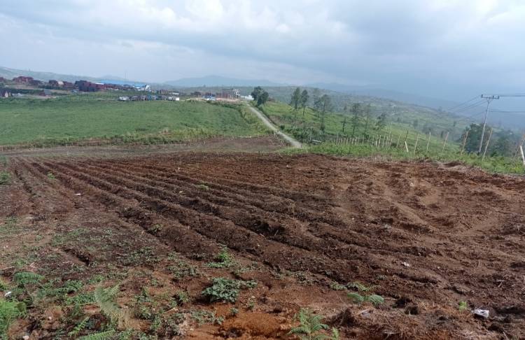 Beredar Percakapan, Pengakuan Supir Traktor Ada Oknum Penyidik Polres Karo Minta Jatah Tanah Kepada Bos BUKB, Elisabeth : Tolonglah Kami Ini Pak!