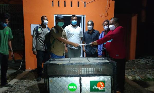 Orangutan Asal Jateng Asto dan Asih Dititip ke BKSDA Sumut