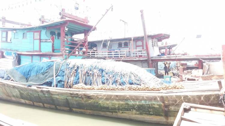 Akibat Siklon Tropis Seroja : Ikan Teri Langka Jika Ada Harganya Mahal