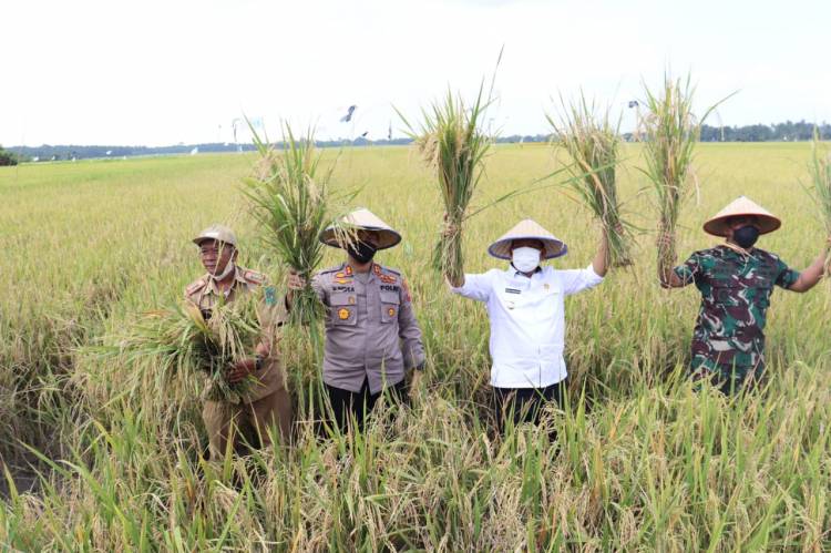 Kapolres Bersama Forkopimda Simalungun monitoring Sosialisasi Pupuk Bersubsidi di Maligas