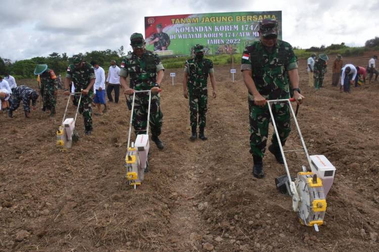 Bersama Gapoktan Merauke Danrem 174/ATW Merauke Tanam Jagung Guna Tingkatkan Ketahanan Pangan Masyarakat