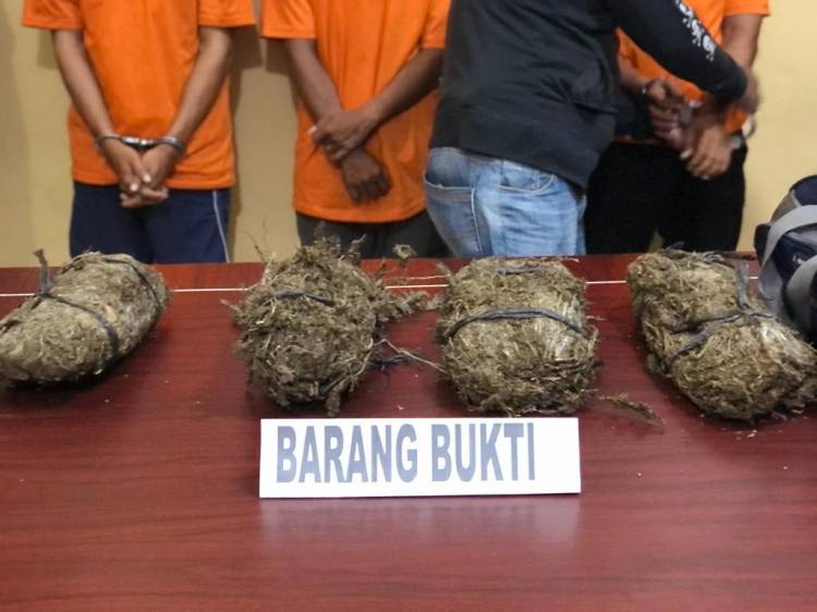 Timsus Presisi Polres Labuhanbatu Gagalkan Peredaran Ganja