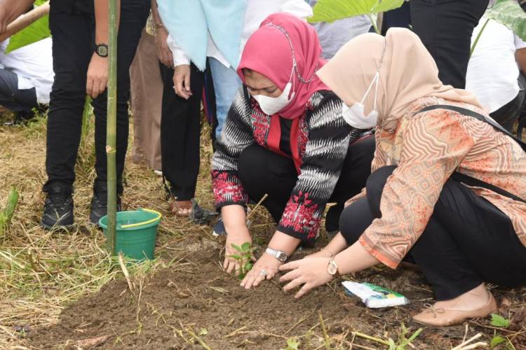 Nawal Lubis Harapkan Kementan Bantu Mengglobalkan Andaliman