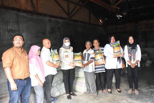 Wakil Bupati Madina Serahkan Bibit Padi di Wilayah Kecamatan Kotanopan