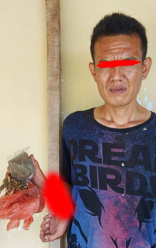 TIM Opsnal Sat Narkoba Simalungun Gagalkan Transaksi Ganja