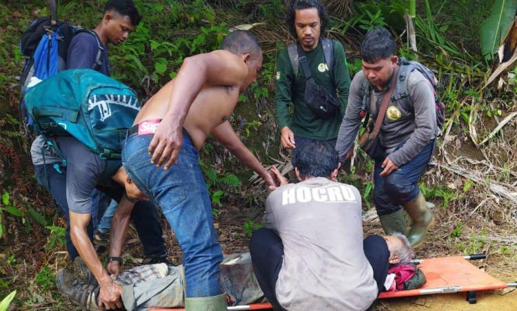 Membantu Harimau Terjerat Kandang Babi, Dokter Hewan Alami Cakaran dan Gigitan