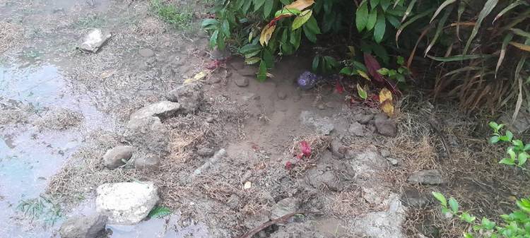 Para Pelaku Tidak Pernah Ditangkap Polisi, Maling Beraksi Bebas Di Perumnas Mandala