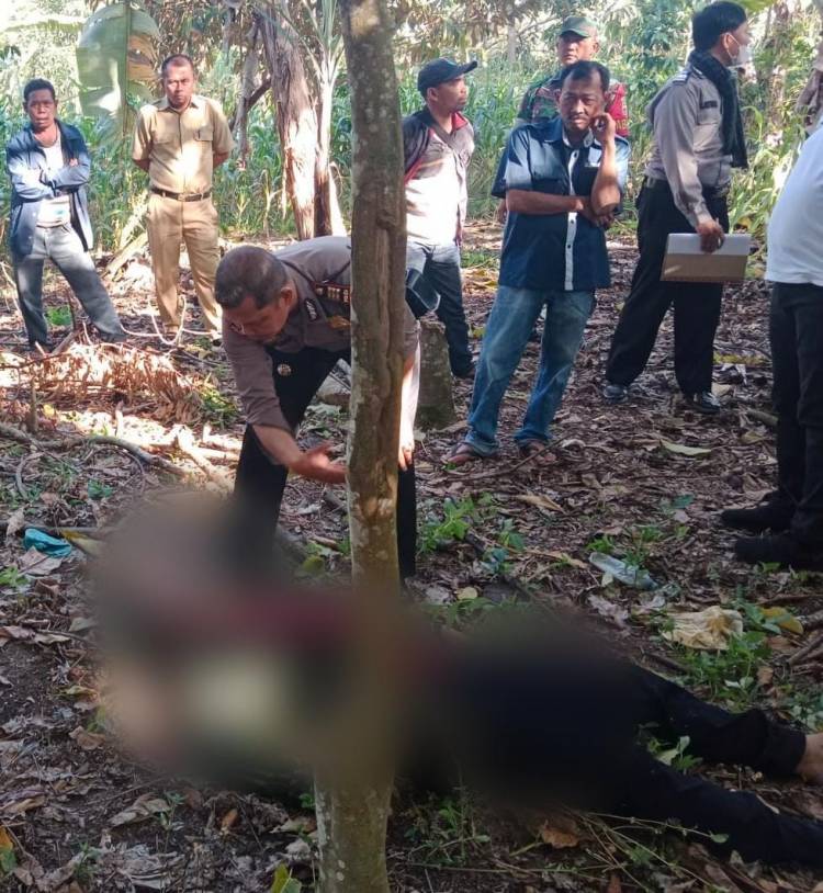 Polsek Parapat Evakuasi Temuan Mayat di Perladangan Kopi, Warga Menduga Karena Ini