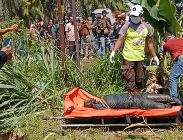 Warga Hinai Dikejutkan Penemuan Sesosok Mayat Pria Membusuk Didalam Parit