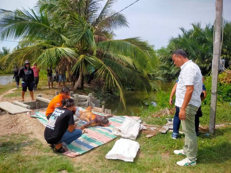 Ditemukan Seorang Mayat MrX di Desa Tanjung Rejo