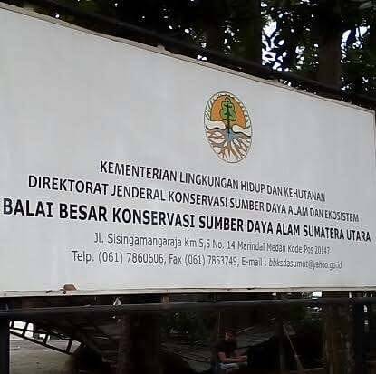 BKSDA Sumut Himbau Masyarakat Sei Mati Untuk Tidak Mendekati Wilayah Lintasan Buaya