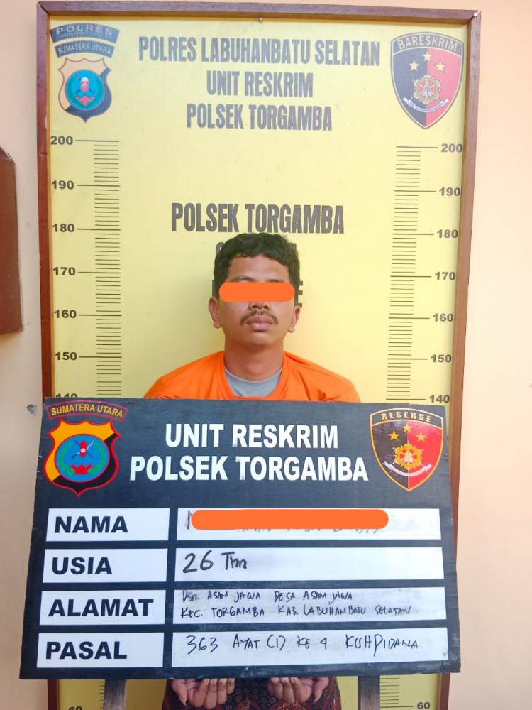 Hendak Kabur ke Medan, Polres Labusel Ringkus Kawanan Maling Pengunjung  SPBU di Torgamba