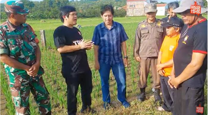 Mengejar 3 Kali Musim Tanam di Sawah Tadah Hujan, Petani Marongge Tomo Sumedang Gunakan Sistem Pompanisasi