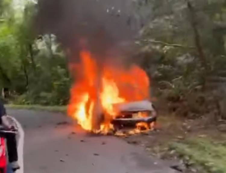 Kopling Hangus, Grand Livina Musnah Terbakar di Tanjakan Salak