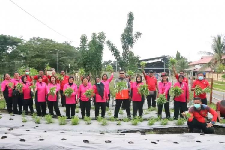 Kapolres Halut dan Ketua Bhayangkari Panen Kangkung di Pekarangan Pangan Lestari