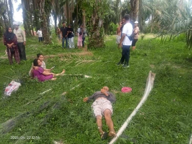 Polsek Tanah Jawa Olah TKP Temuan Mayat di Perladangan Sawit Simpang Nagojor