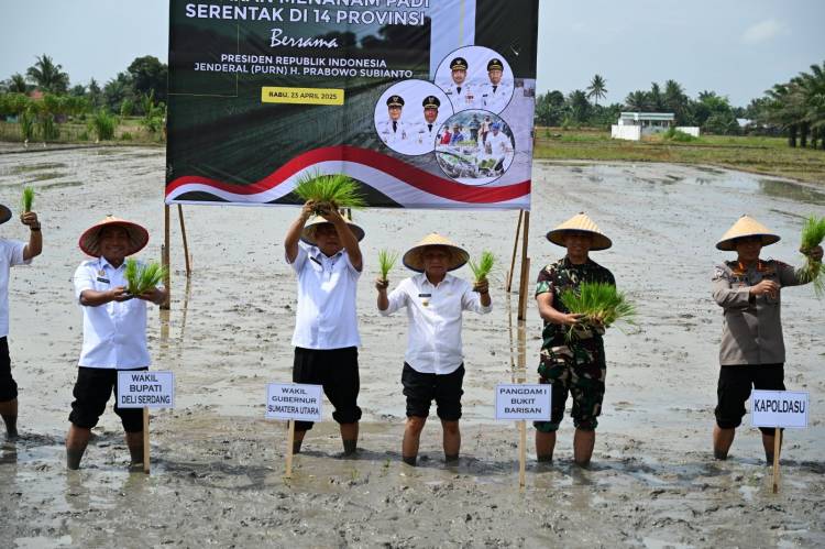Gerakan Tanam Padi Serentak, Pemprov Sumut Komitmen Kuat Dukung Program Swasembada Pangan