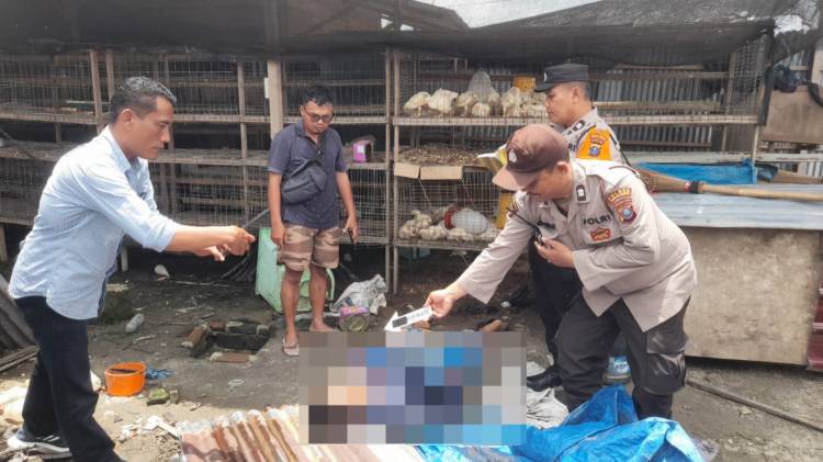Masuk kedalam Kandang Ayam"Jiwanya Melayang"