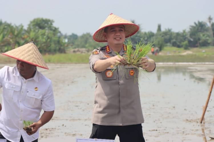 Kapolresta Deli Serdang Hadiri Gerakan Tanam Padi Serentak di Desa Pasar Miring