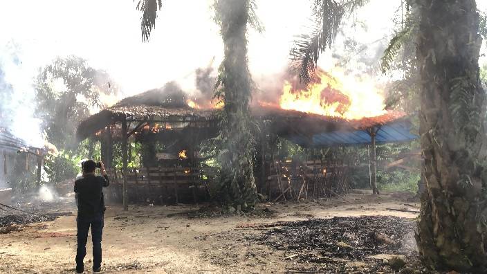 Satroni Lokasi Sabung Ayam Pancurbatu, Udah Lama Zonk