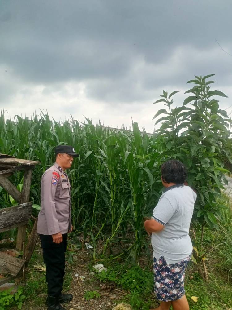 Bhabinkamtibmas Polsek Siantar Marihat Sambangi Warga Manfaatkan Lahan Dukung Ketahanan Pangan