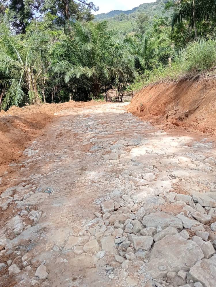 Buat Gaduh dan Hambat Penerimaan Negara, Kadis LHK Sumut Diusulkan Dicopot