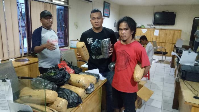 Mahasiswa Simpan 21 Kg Ganja Dalam Kos