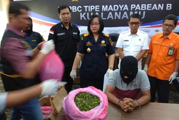 Bea Cukai Gagalkan Penyeludupan 16 Kg Daun Khat ke Sumut 