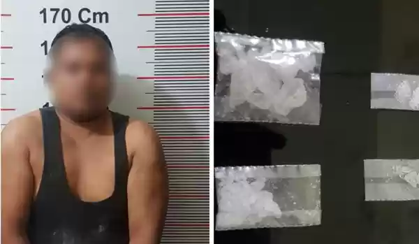 Gubuk Perkebunan Sawit Jadikan Transaksi Narkoba, Polsek Pangkalan Susu Bertindak 