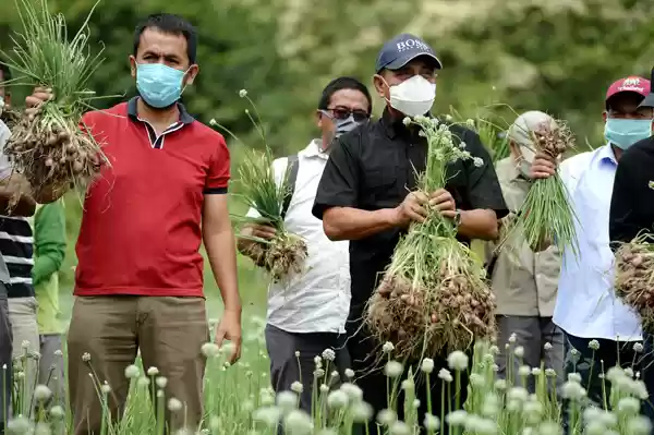 Gubernur Edy Apresiasi Petani yang  Tetap Produktif di Tengah Pandemi