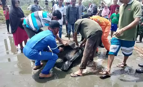 Tim SAR, Menemukan Korban perahu Kapal Terbalik, Meninggal Dunia