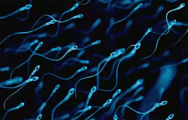 Sperma Mengandung Virus Corona, Tahan Selera Dulu Lah Biar Nggak Menular