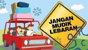 Larangan Mudik Lokal, Satgas Covid-19 Akhirnya Beberkan Alasanya
