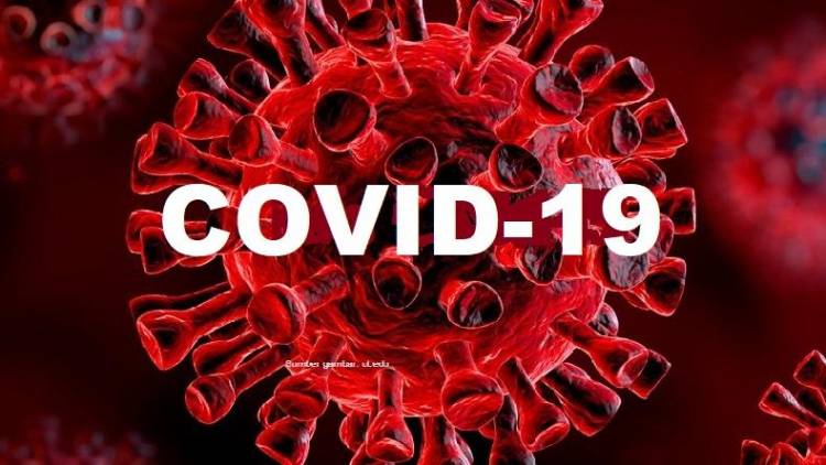 Tanpa Rasa Solideritas Covid 19 Menggasak Semua Orang
