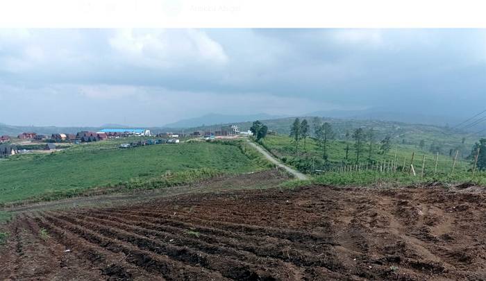 Hanya Gara-gara Kopi dan Serai, Elisabeth dan Ibunya Jadi Tersangka, Bagaimana Kelanjutan Perkaranya Ya?