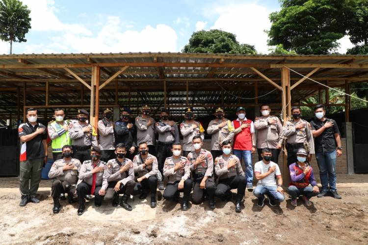Kapolda Sumut Cek Kesehatan Satwa Turangga