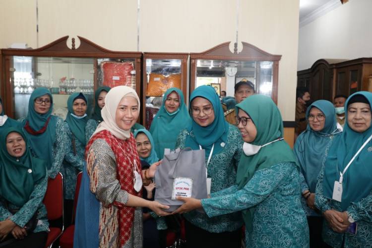 Supervisi ke Binjai, Sri Ayu Mihari Ingatkan Program Pokok PKK