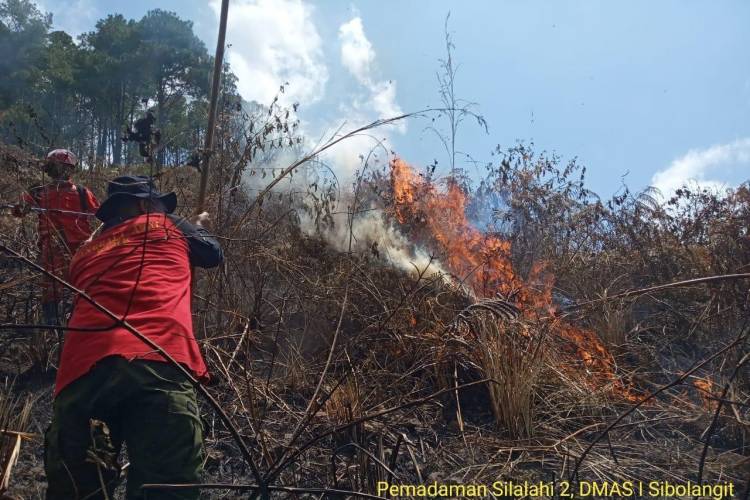 Hutan dan Lahan di Pinggir Danau Toba Kembali Hangus Dilahap Sijago Merah