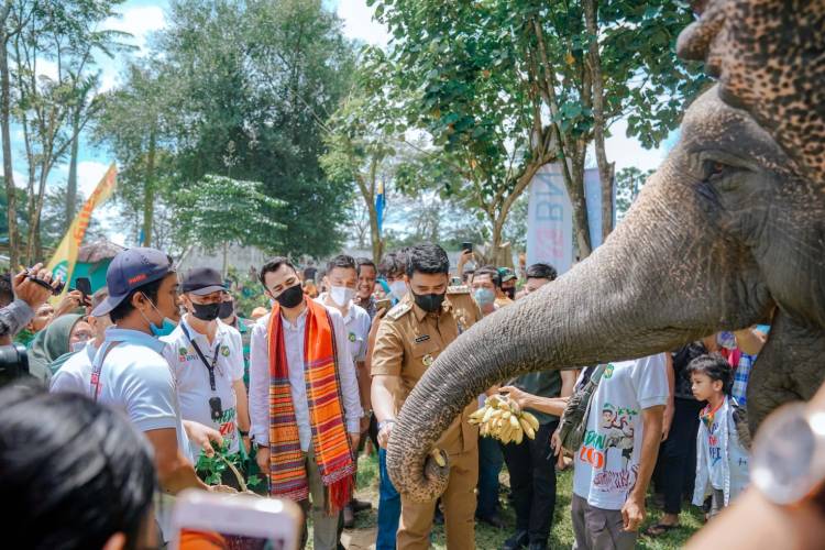 Raffi Ahmad Siap Investasi di Medan Zoo, Bobby Nasution: Semoga Jadi Lokasi Wisata Representatif