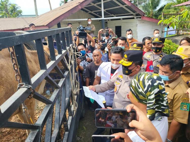 Kapolda Sumut : Masyarakat Tak Usah Khawatir Kita Pastikan Hewan Sapi Sehat